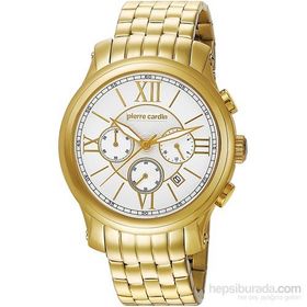Pierre Cardin PC105151F01 0 Erkek Kol Saati