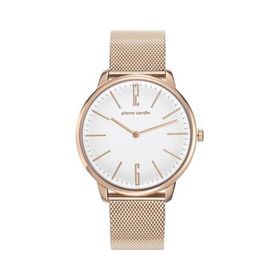 Pierre Cardin PC106991F31 Erkek Kol Saati