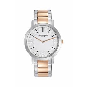 Pierre Cardin PC108111F06 Erkek Kol Saati