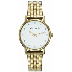 Pierre Cardin PC108152F05 Bayan Kol Saati