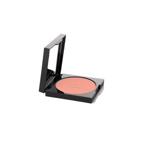 Pierre Cardin Porcelain Edition Blush On 960 Flamingo Pink Allık