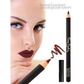 Pierre Cardin Waterproof Nutshell Dudak Kalemi