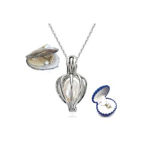 Pigado İstiridye İçi Gerçek İnci 925 Ayar Gümüş Kafes Kolye