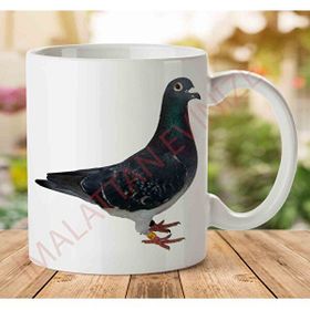 Pigeon Güvercin Baskılı Kupa