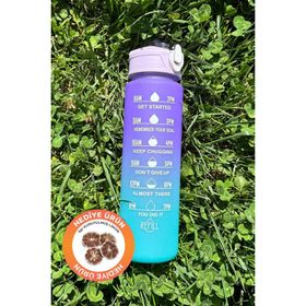 Pikas 900 ml Tritan Motivasyonel Spor Salonu Su Matarası