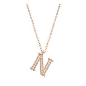 pilelistore 925 Ayar Gümüş Rose N Harfi Kadın Gümüş Kolye