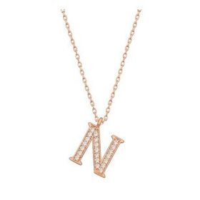 pilelistore 925 Ayar Gümüş Rose N Harfi Kadın Gümüş Kolye