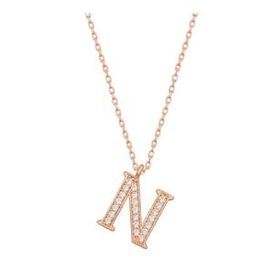 pilelistore 925 Ayar Gümüş Rose N Harfi Kadın Gümüş Kolye
