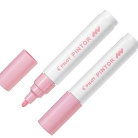 Pilot SW-PT-M-PP M Pastel Pembe Pintor Dekorasyon Kalemi