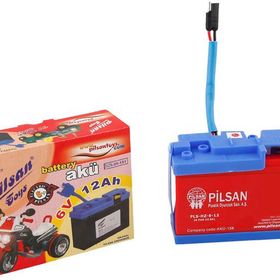 PILSAN 6 VOLT AKÜ SETİ