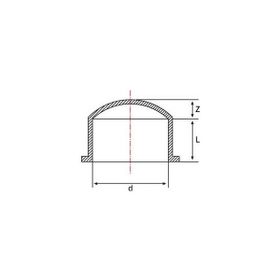 Pimtaş 50 mm Pvc Kör Tapa