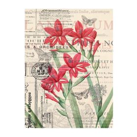 Pintoo Floral Pattern 300 Parça Puzzle