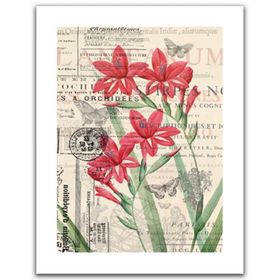 Pintoo Floral Pattern 300 Parça Puzzle