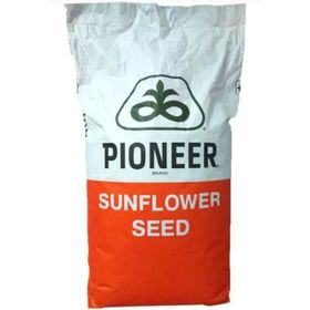 Pioneer P64LC108 Ayçekirdeği Tohumu