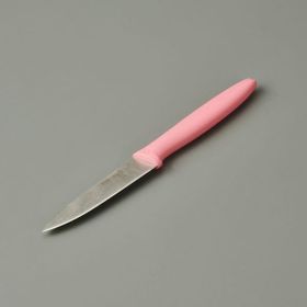 Pirge 9 cm Asorti Sivri Soyma Bıçağı