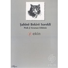 PISÎK JÎ XEWNAN DIBÎNIN - ŞAHÎNÊ BEKIRÊ SOREKLÎ