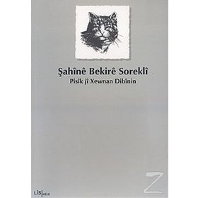 PISÎK JÎ XEWNAN DIBÎNIN - ŞAHÎNÊ BEKIRÊ SOREKLÎ