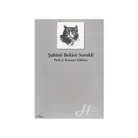 PISÎK JÎ XEWNAN DIBÎNIN - ŞAHÎNÊ BEKIRÊ SOREKLÎ