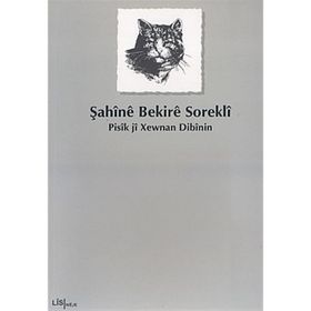 PISÎK JÎ XEWNAN DIBÎNIN - ŞAHÎNÊ BEKIRÊ SOREKLÎ