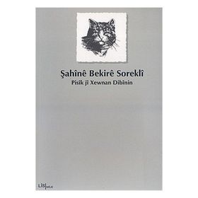 PISÎK JÎ XEWNAN DIBÎNIN - ŞAHÎNÊ BEKIRÊ SOREKLÎ