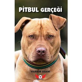 Pitbul Gerçeği- Yıldırım Çelebi
