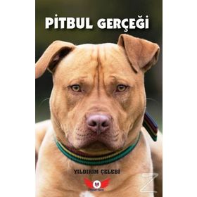 Pitbul Gerçeği- Yıldırım Çelebi