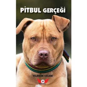 Pitbul Gerçeği- Yıldırım Çelebi