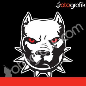 Pitbull Oto Sticker