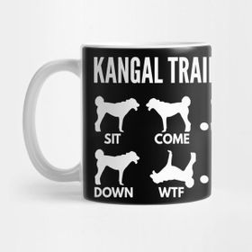 Pixxa Anatolian Shepherd Training Kangal Shepherd Tricks Kupa Bardak