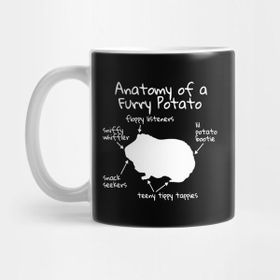 Pixxa Guinea Pig Anatomy Of A Furry Potato Abyssinian Kupa Bardak