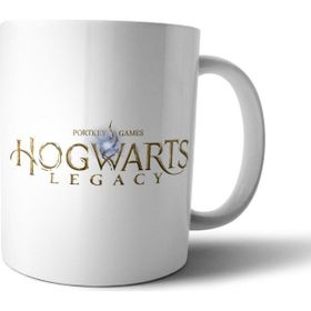 Pixxa Model 1 Hogwarts Legacy Kupa Bardak