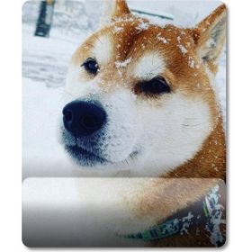 Pixxa Model - 1 Shiba Inu - Köpek Bilek Destekli Mouse Pad