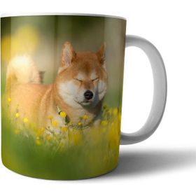 Pixxa Model 3 Shiba Inu Köpek Kupa Bardak