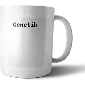 Pixxa Pesimist Tanımı Komik Gri Kupa Bardak