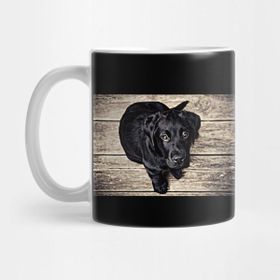 Pixxa Wow! What A Beautiful Black Puppy Dog Kupa Bardak