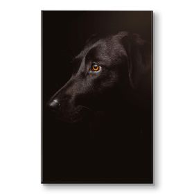 Piyero Siyah Köpek Kanvas Tablo