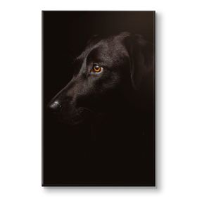 Piyero Siyah Köpek Kanvas Tablo