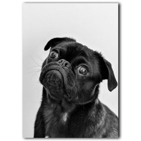Piyero Siyah Köpek Kanvas Tablo