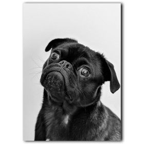 Piyero Siyah Köpek Kanvas Tablo
