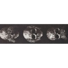 PlanetWaves 50AL01 50 mm Alchemy Str Muted Skull Gitar Askısı