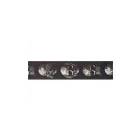 PlanetWaves 50AL01 50 mm Alchemy Str Muted Skull Gitar Askısı