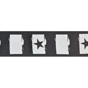 PlanetWaves 50C01 Dokuma Yıldız Gitar Askısı
