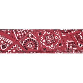 PlanetWaves 50G02 Dokuma 50 mm Bandana Gitar Askısı
