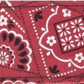 PlanetWaves 50G02 Dokuma 50 mm Bandana Gitar Askısı