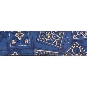 PlanetWaves 50G03 Dokuma 50 mm Bandana Gitar Askısı