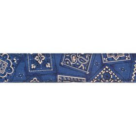 PlanetWaves 50G03 Dokuma 50 mm Bandana Gitar Askısı