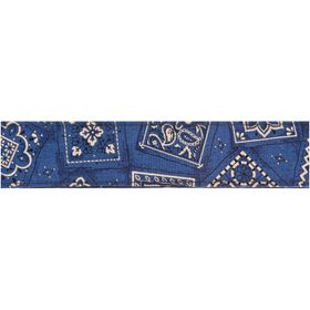 PlanetWaves 50G03 Dokuma 50 mm Bandana Gitar Askısı