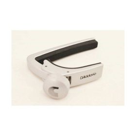 PlanetWaves PW-CP-02 Siyah Gitar Kaposu
