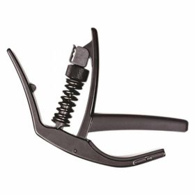 PlanetWaves PWCP10NS Gitar Kaposu