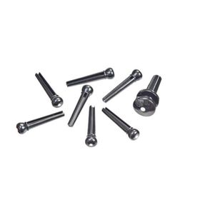 PlanetWaves PWPS10 Siyah Endpin Seti